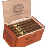 Hoyo De Monterrey Excalibur 1066 King Arthur