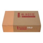 Hoyo La Amistad Gold Rothschild