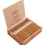 Oliva Connecticut Reserve Torpedo