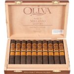 Oliva Serie V Melanio Maduro No. 4